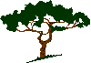 Tree Of Life
